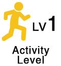 OPA_Icon_Activity-Level-1 Cohesion Culture COURSE | On Purpose Adventures