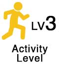 OPA_Icon_Activity-Level-3 Cohesion Culture CAMP | On Purpose Adventures